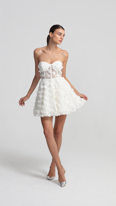 3D Floral Pattern Mini Transparent Dress